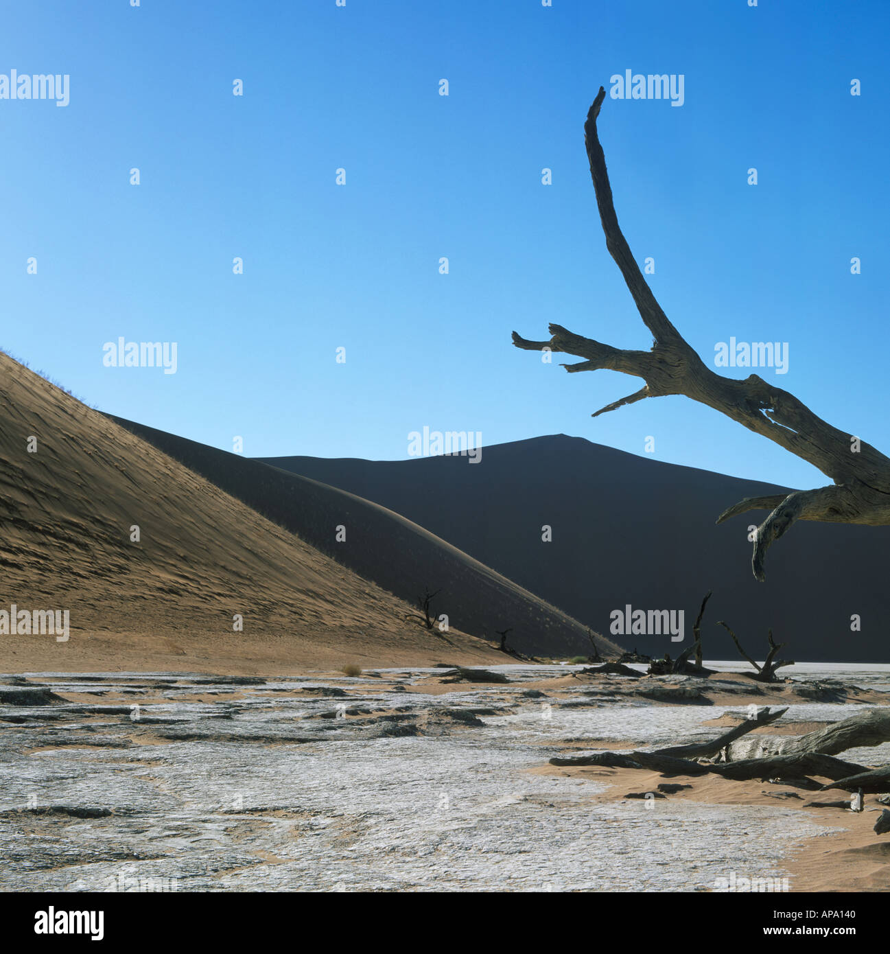 The Largest Sand Dune in the World at Sossusvlei Namibia Stock Photo