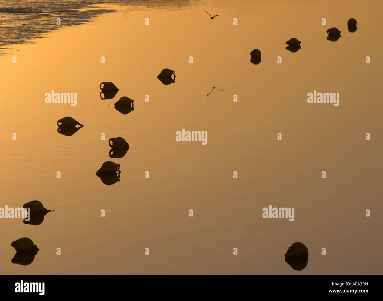 Mooring markers on river Stock Photo Alamy