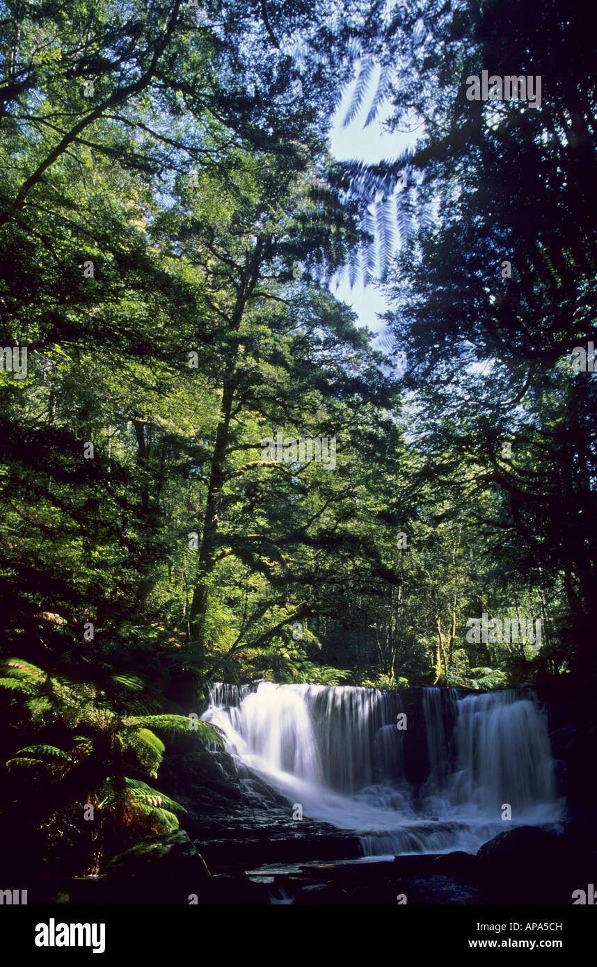 Mt field national park hi-res stock photography and images - Alamy