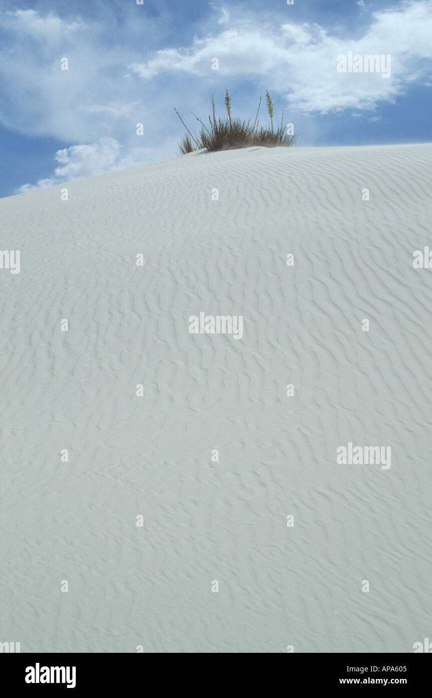 White Sands National Monument the largest gypsum dune field in the