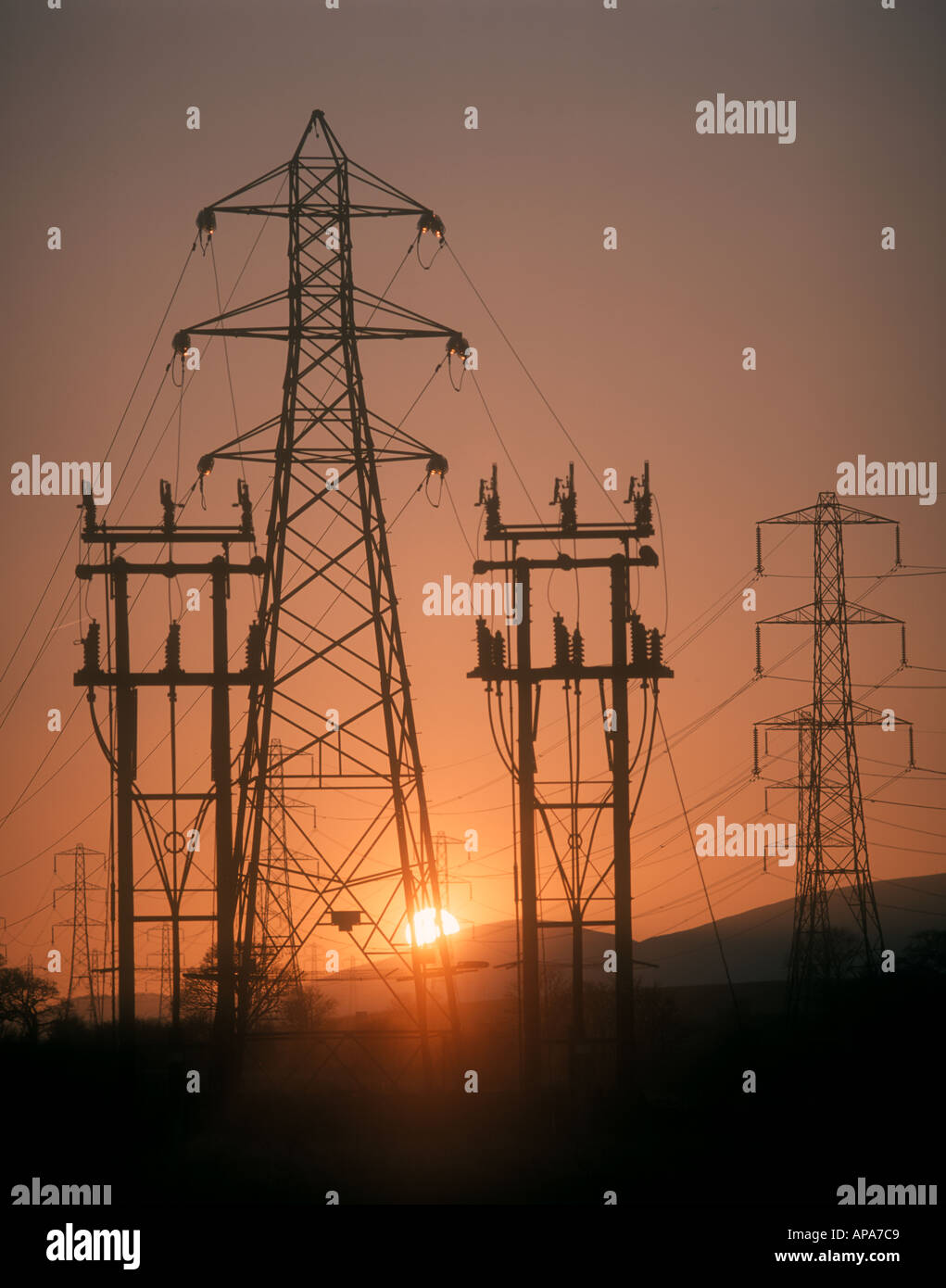 Electricity pylons at sunset Scotland Stock Photo - Alamy