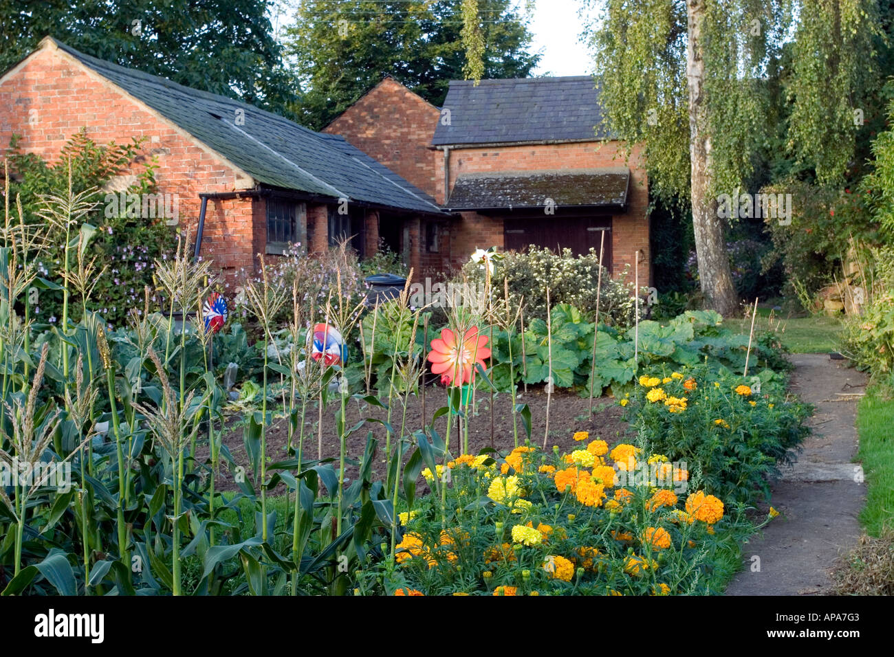 English organic cottage garden and out buildings Stock Photo
