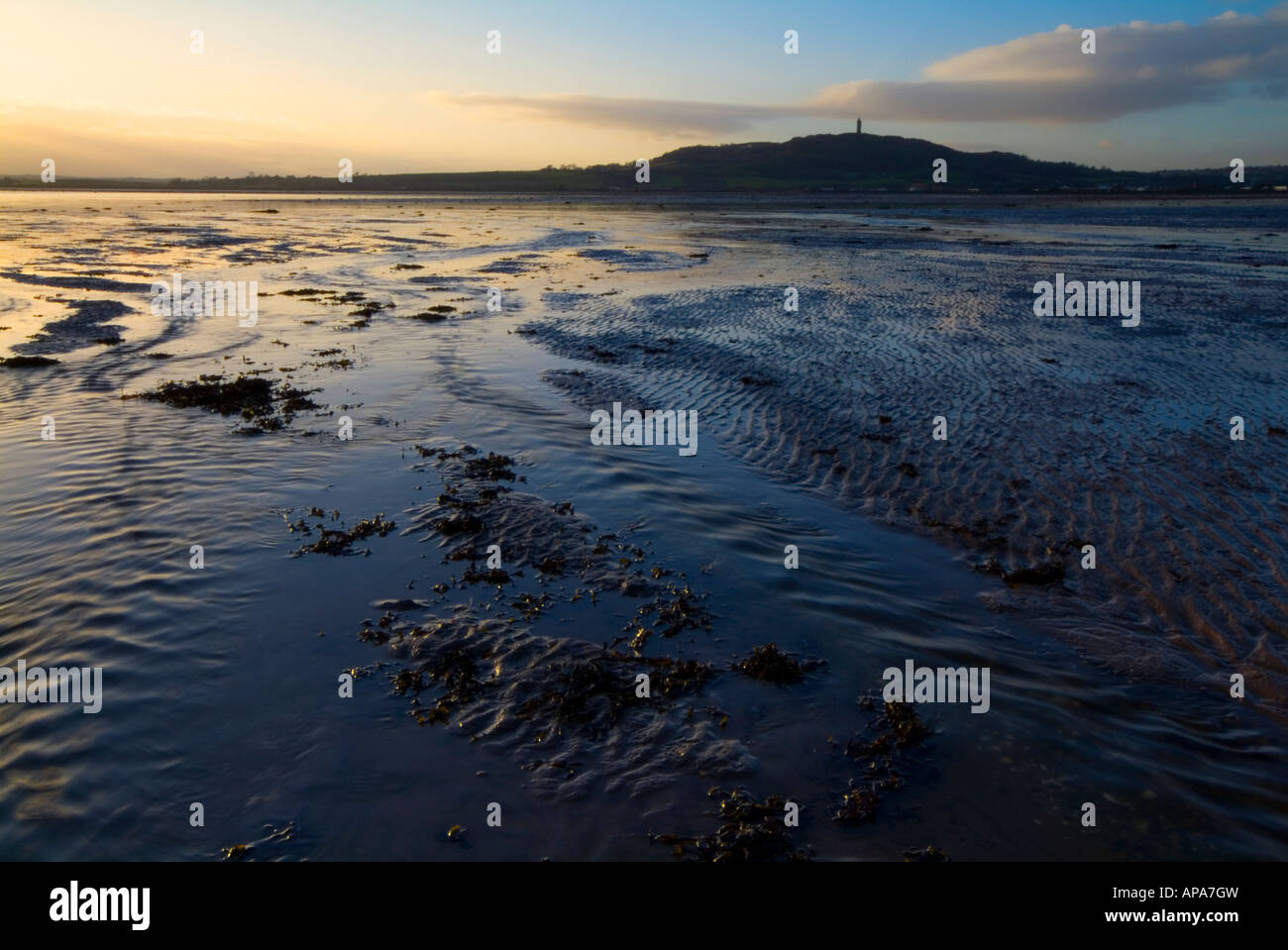 Strangford Lough estuary at low tide, Newtownards, County Down, Northern Ireland Stock Photo