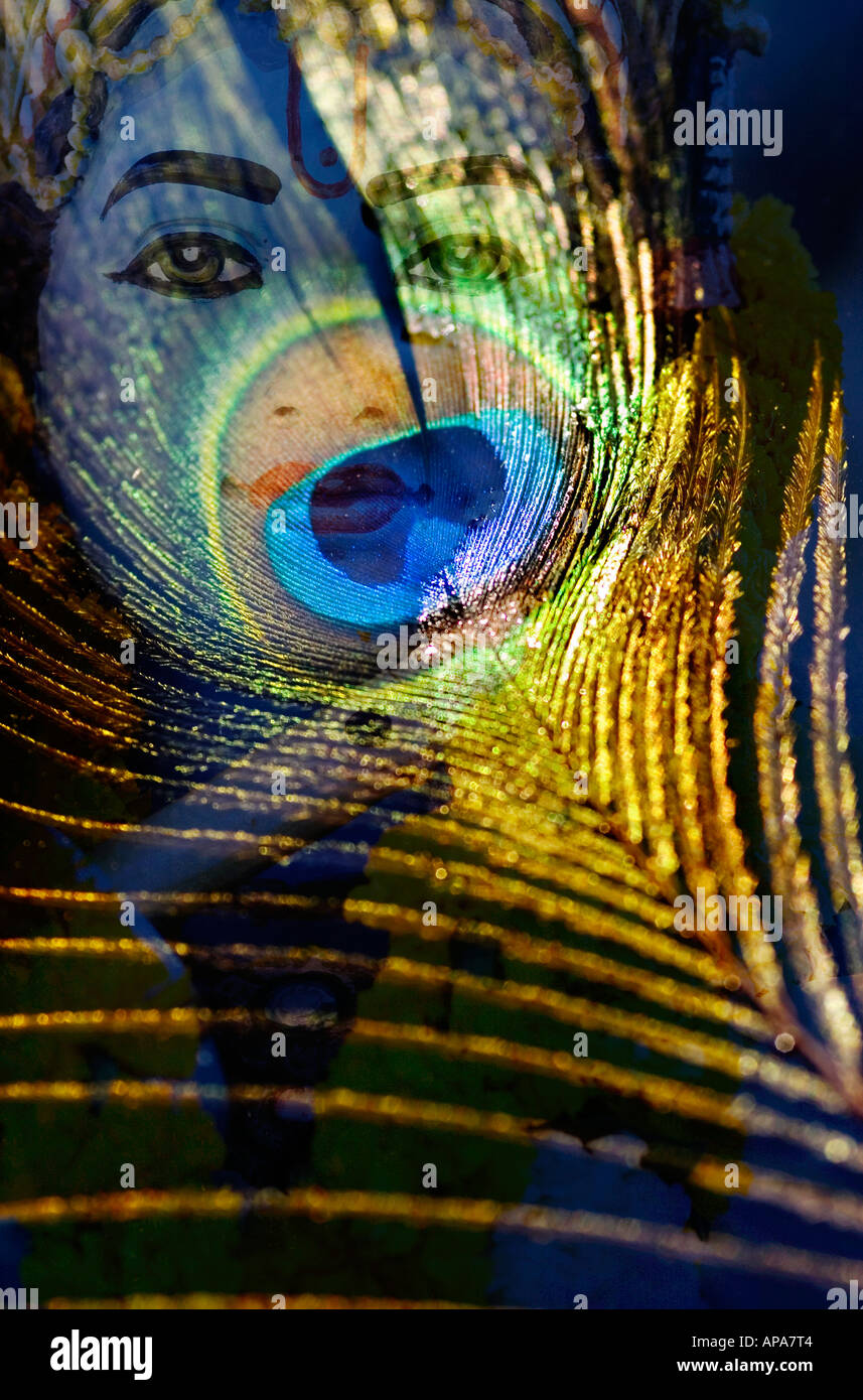 Krishna peacock hi-res stock photography and images - Alamy
