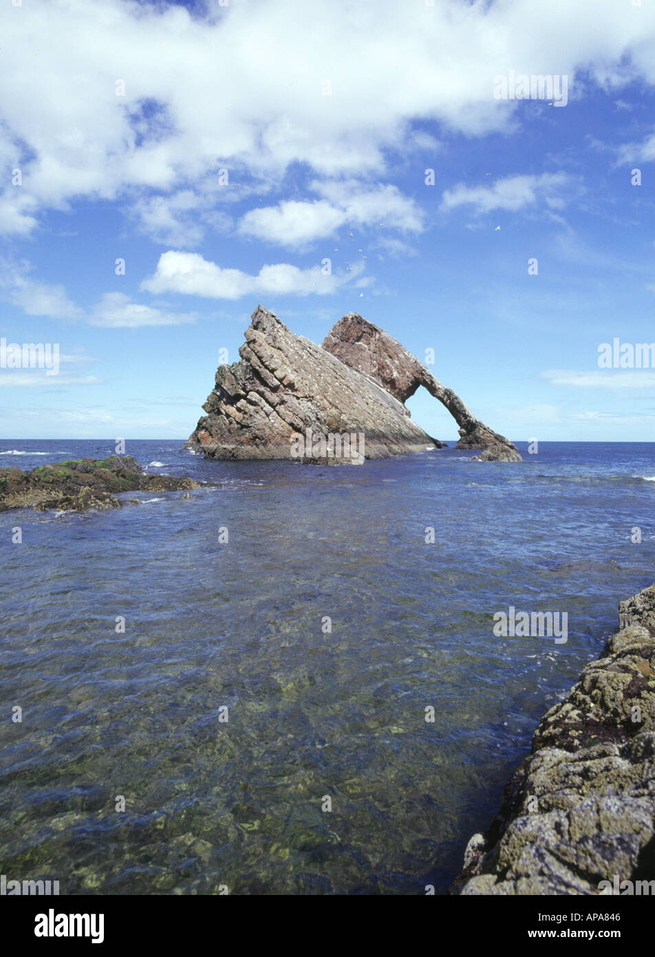 dh Bow Fiddle Rock PORTNOCKIE MORAY Scotland Coastal rock sea arch stack coast Stock Photo