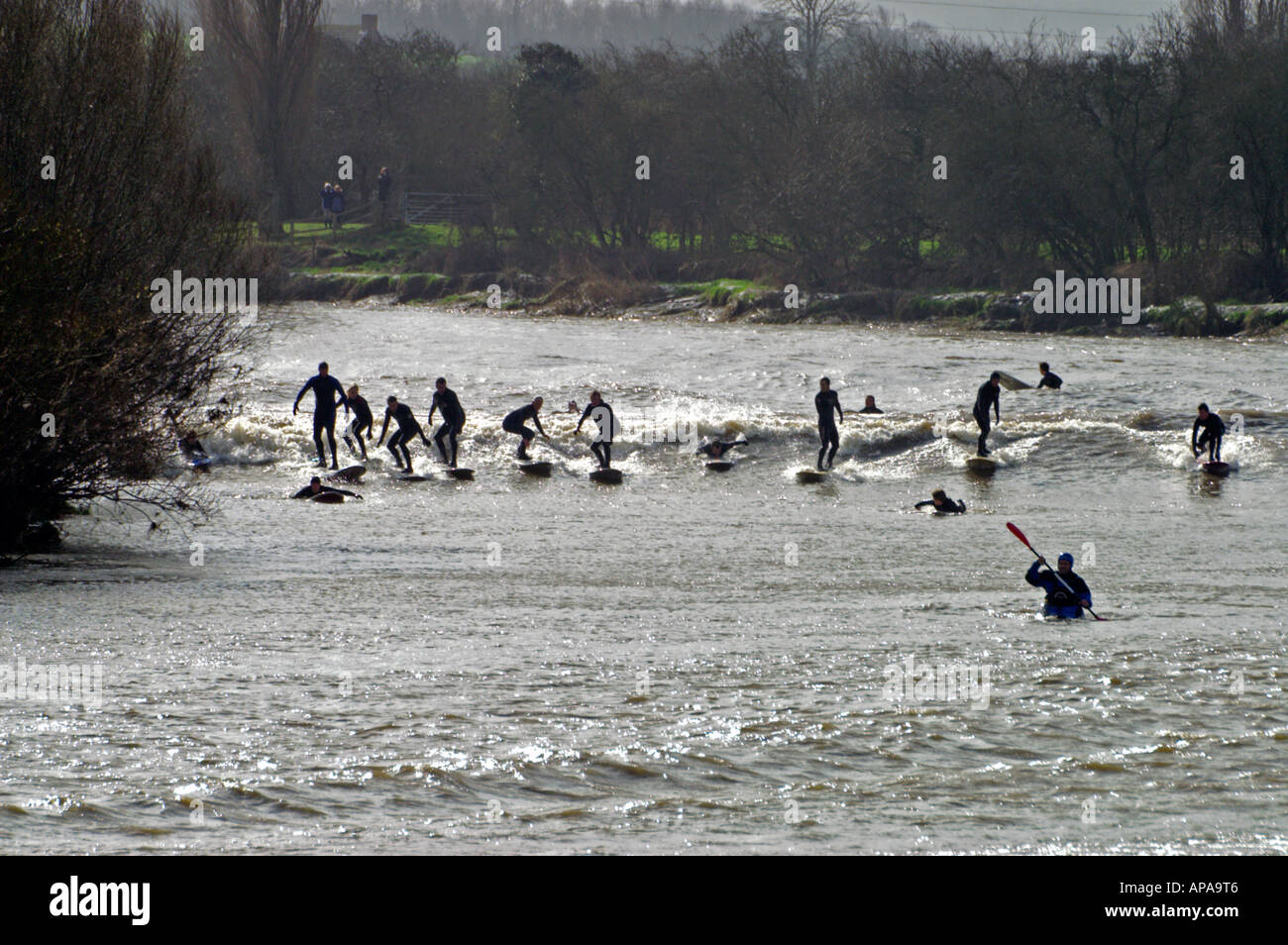 Surfers riding the Severn Bore at Minsterworth in Gloucestershire England Stock Photo