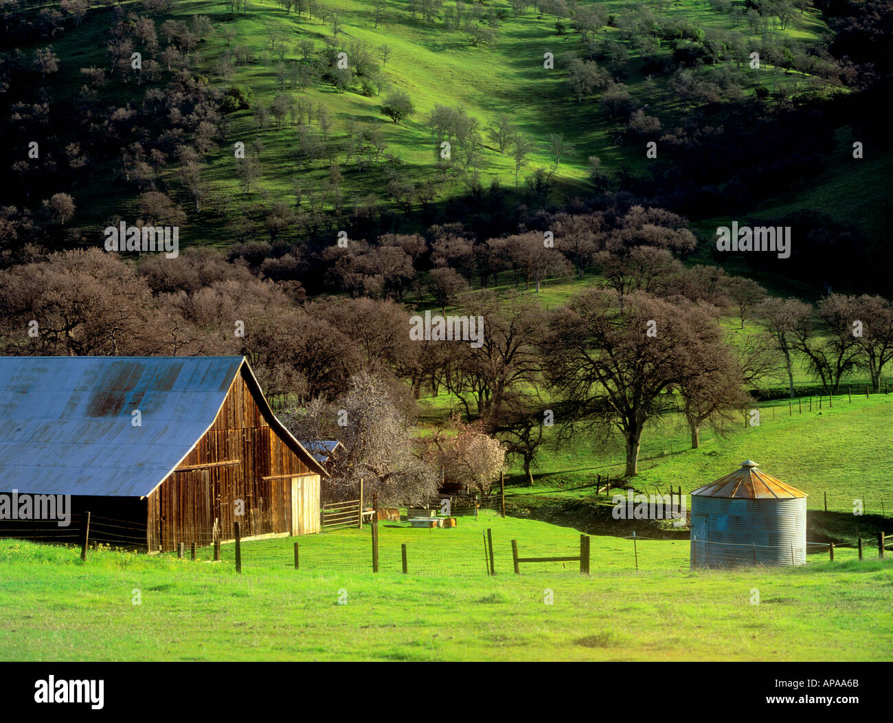 An old barn in late winter northern California Stock Photo Alamy