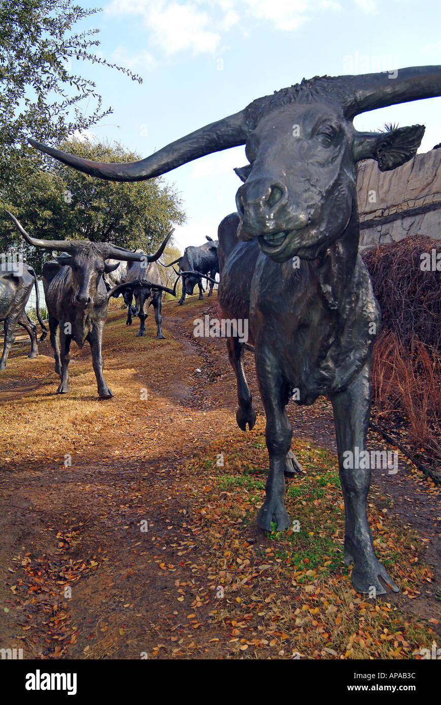 Cow statues in downtown of Dallas, Texas Stock Photo Alamy