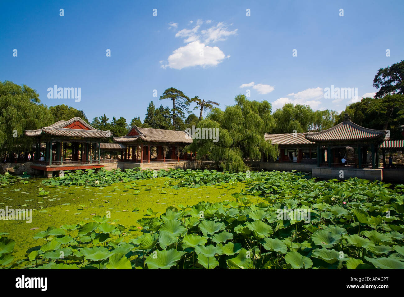 The Summer Palace Stock Photo