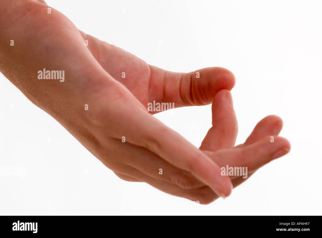 Caucasian Hand and Fingers in Position for Yoga Meditation USA Stock Photo