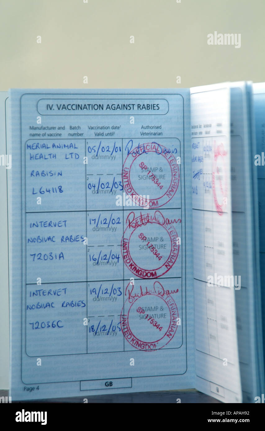 uk pet passport scheme Passports & pet travel sanctuary vets.