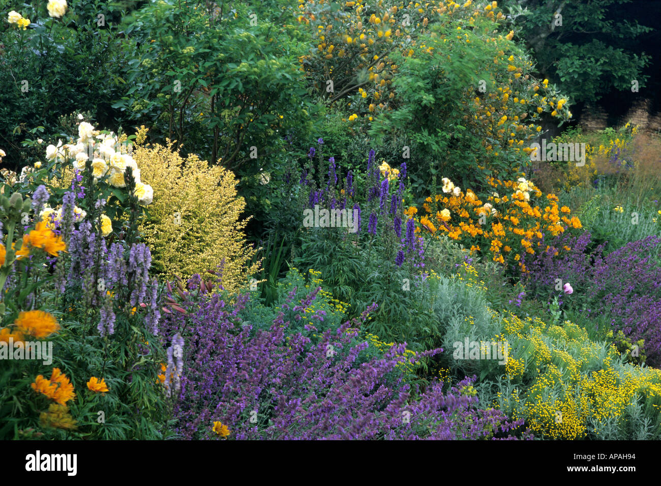 Herbaceous border hi-res stock photography and images - Alamy