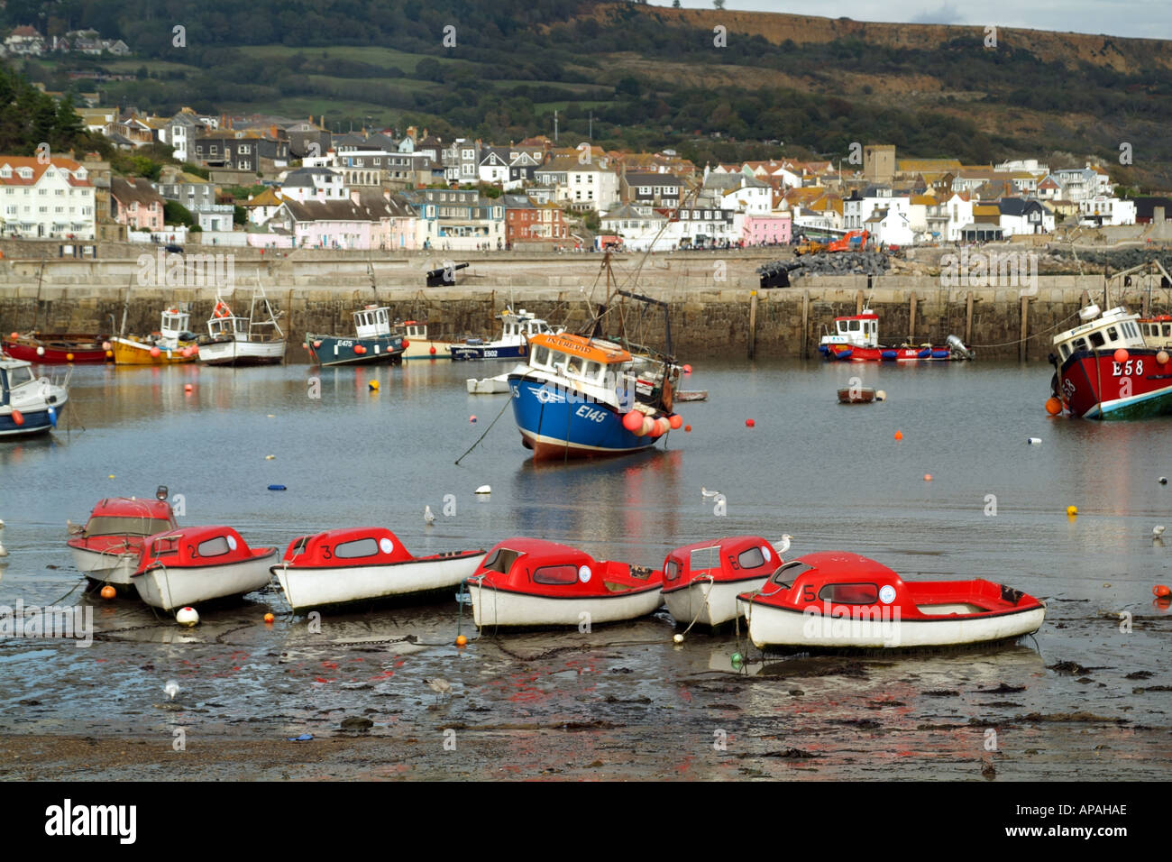 Lyme Regis Dorset Southern England UK dayboats The Cobb low tide Stock