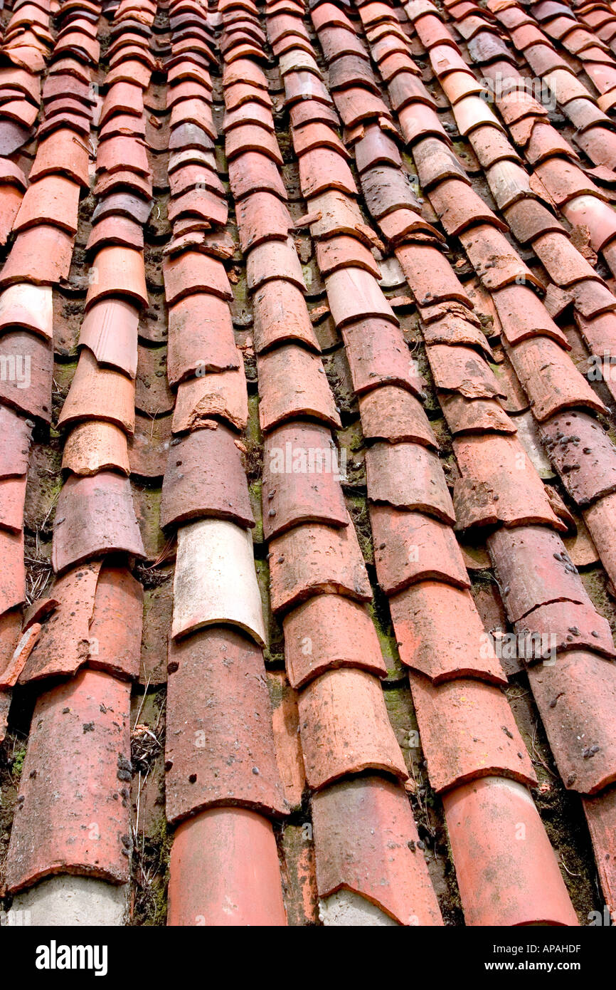 traditional roof of southern france Stock Photo Alamy