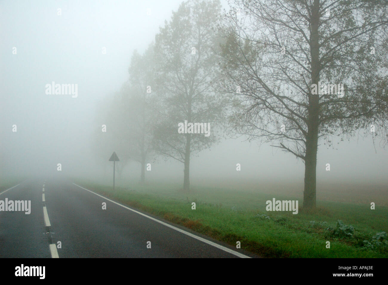 Foggy day in the Cambridgeshire fens Stock Photo