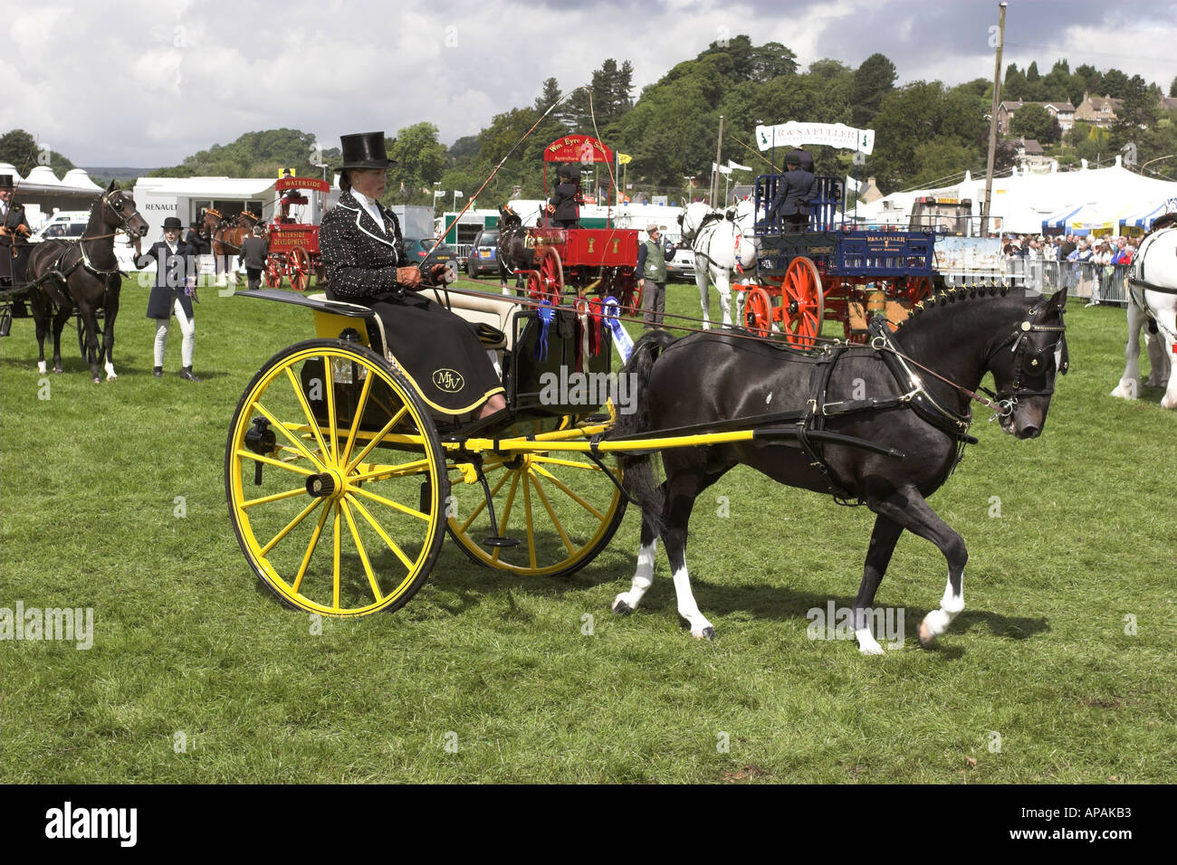 Pony Trap High Resolution Stock Photography and Images - Alamy