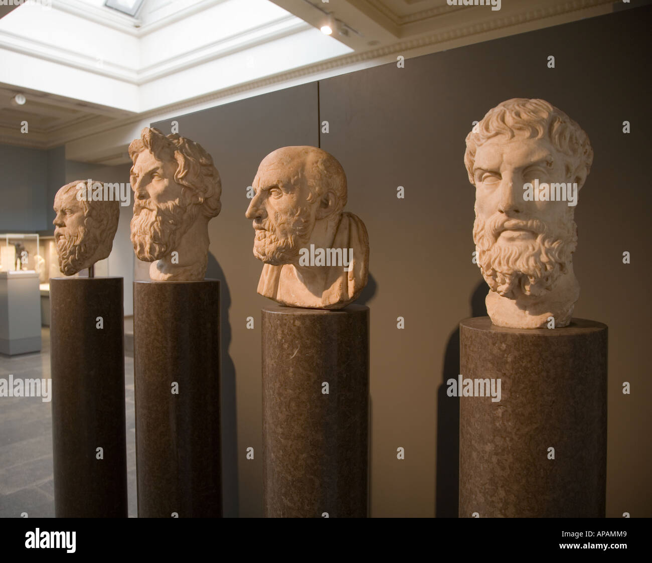 Marble Busts Of the Philosophers The British Museum London UK Europe