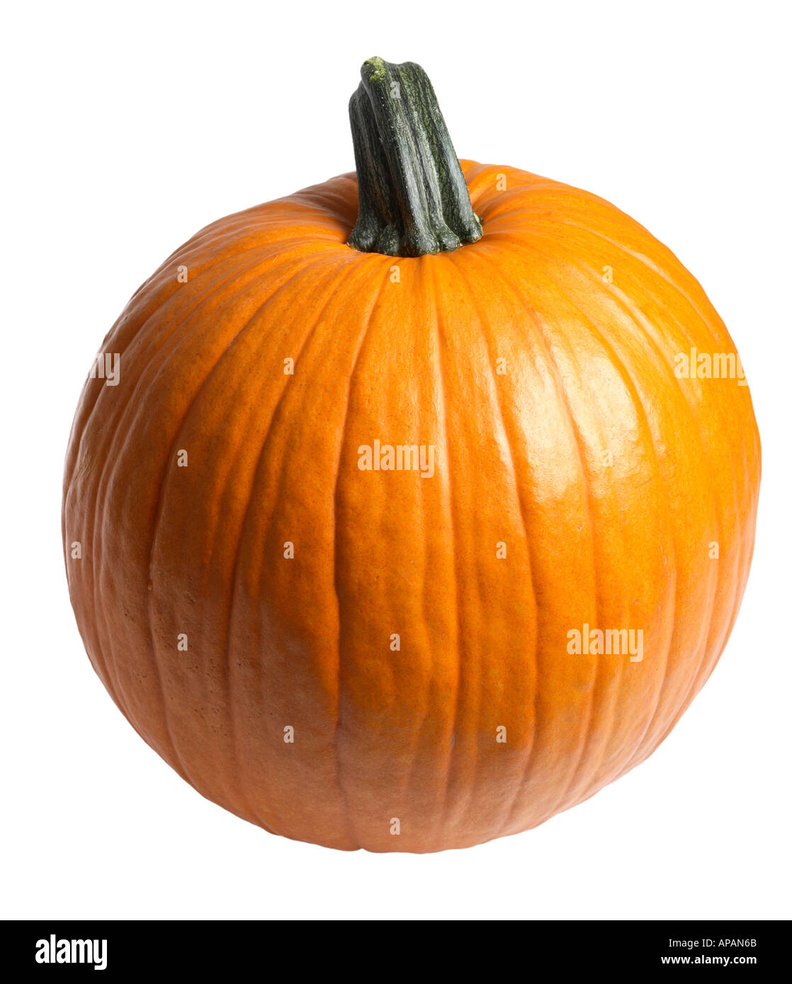 Pumpkin cutout Stock Photo