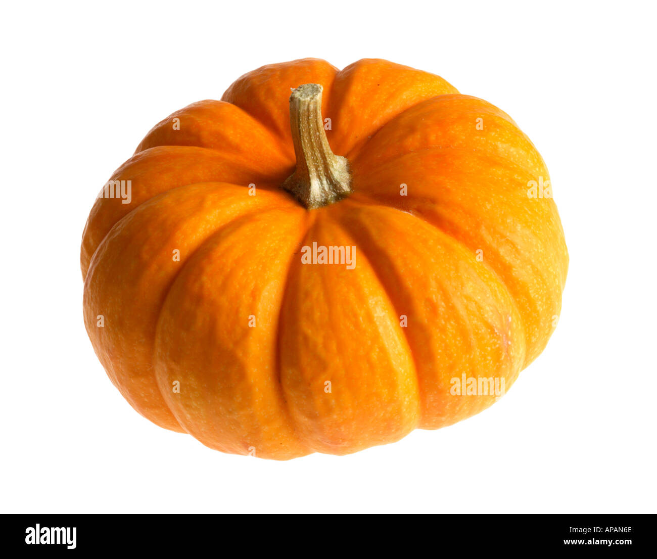 Mini pumpkin Stock Photo