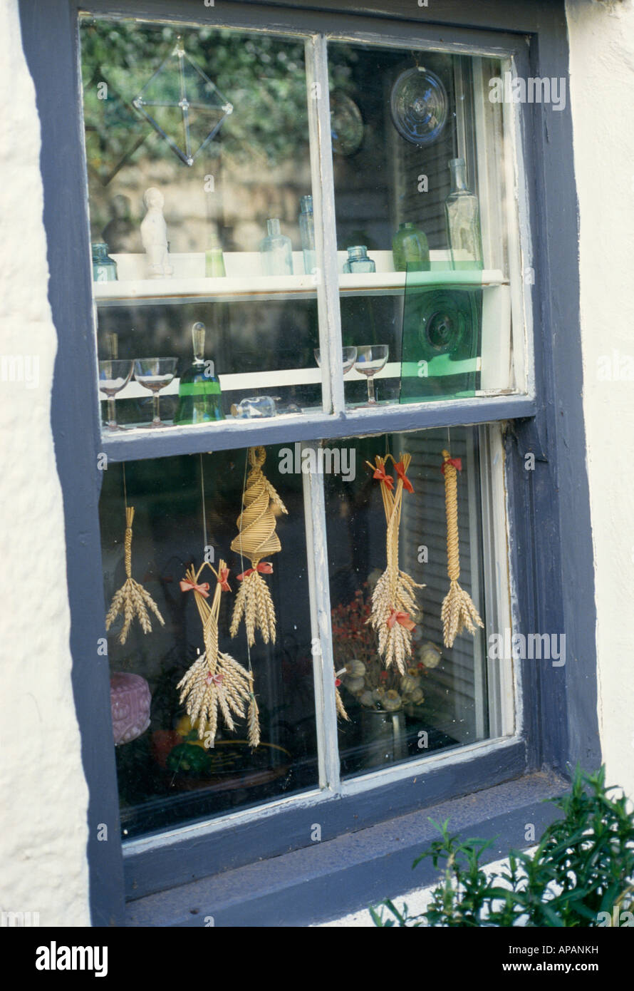 Corn dollies hanging in blue sash window Stock Photo
