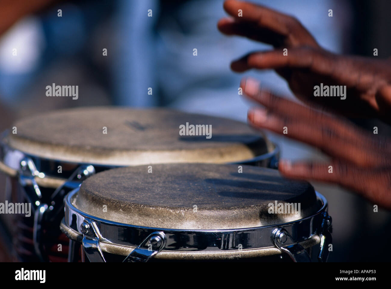 Bongo Drumming Covent Garden London U K Europe Stock Photo Alamy