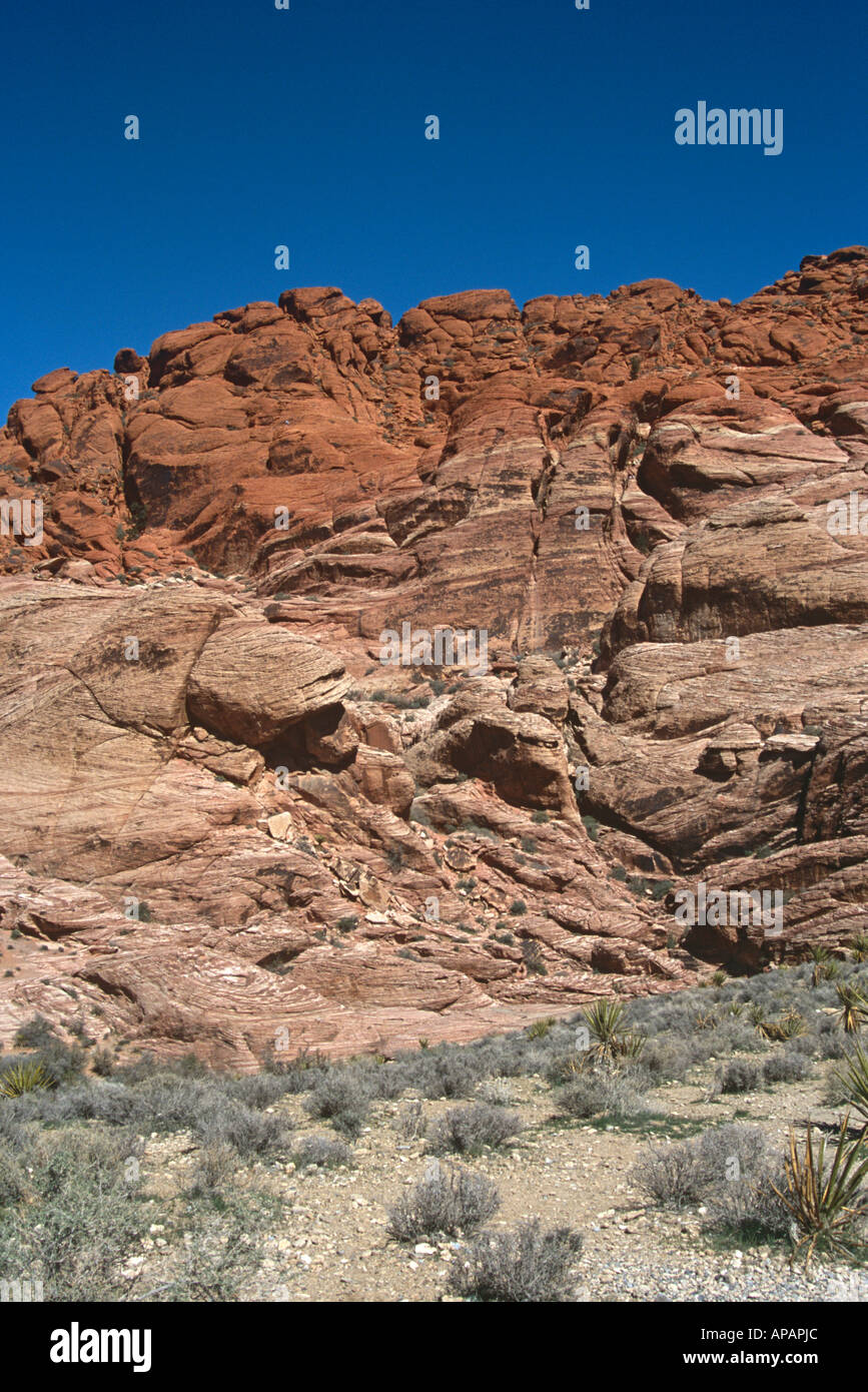 Red rocks canyon nv hi-res stock photography and images - Alamy