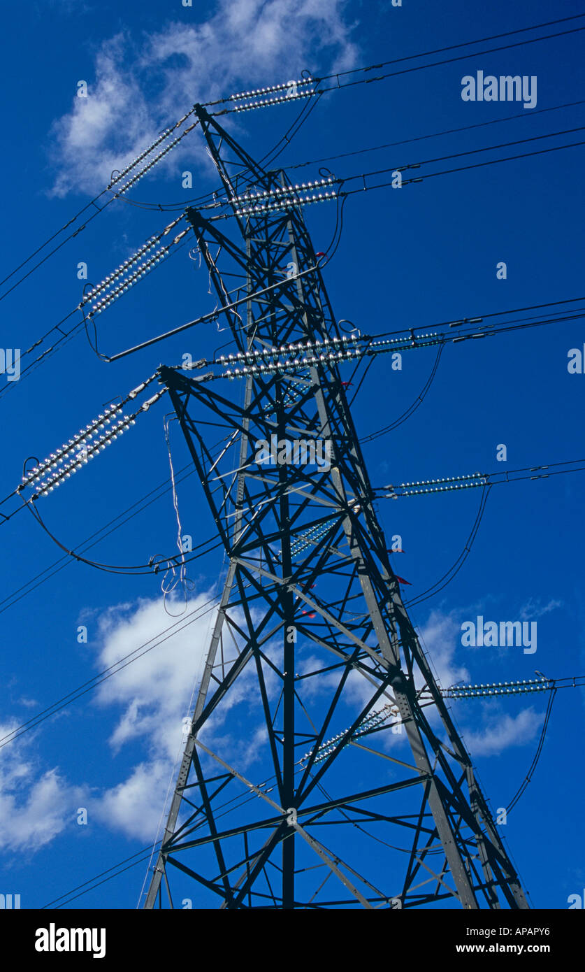 Electricity Pylon, Esher Common, near Esher, Surrey, England, UK Stock