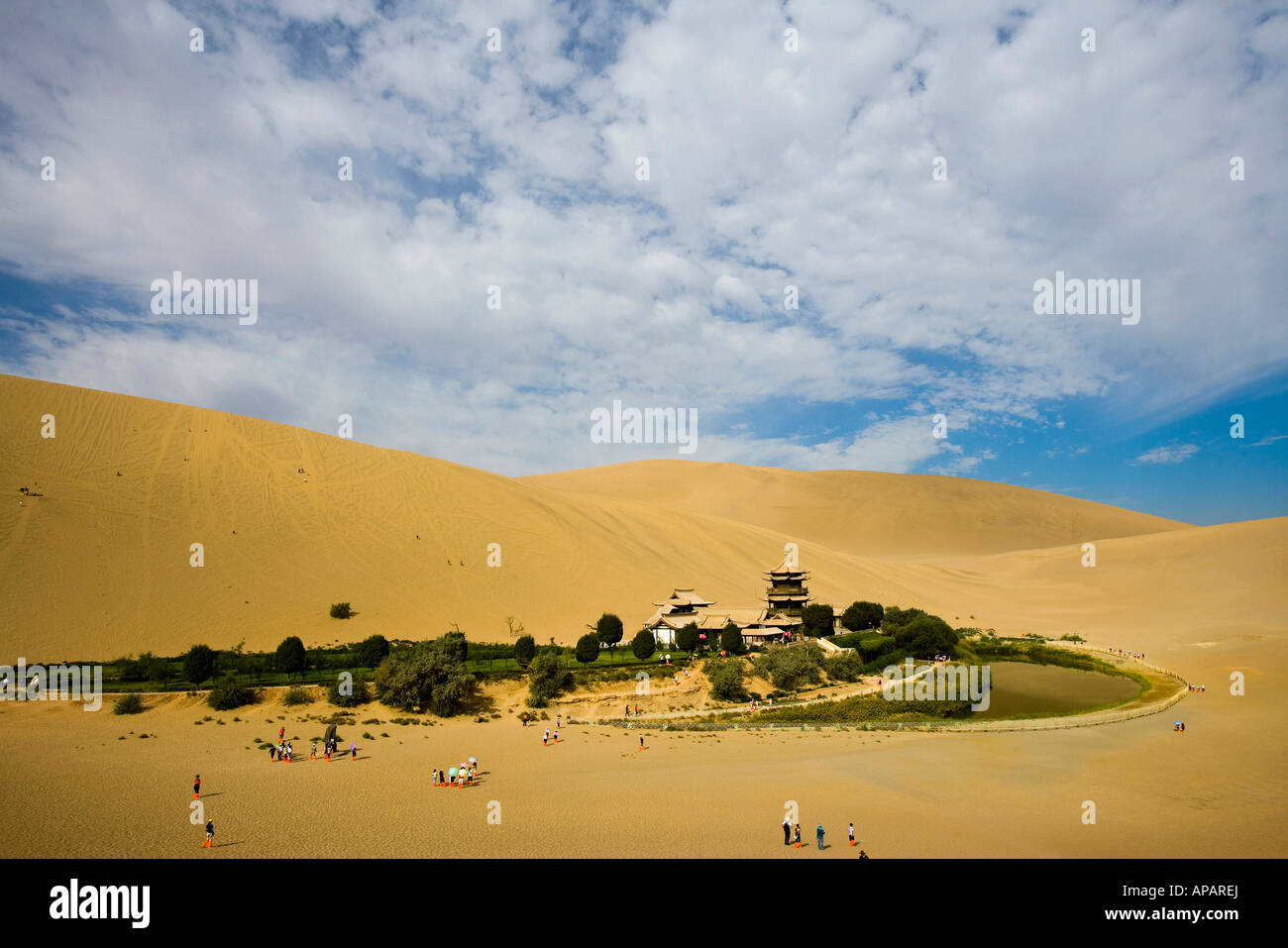 Infrequent Oasis in the Desert Stock Photo