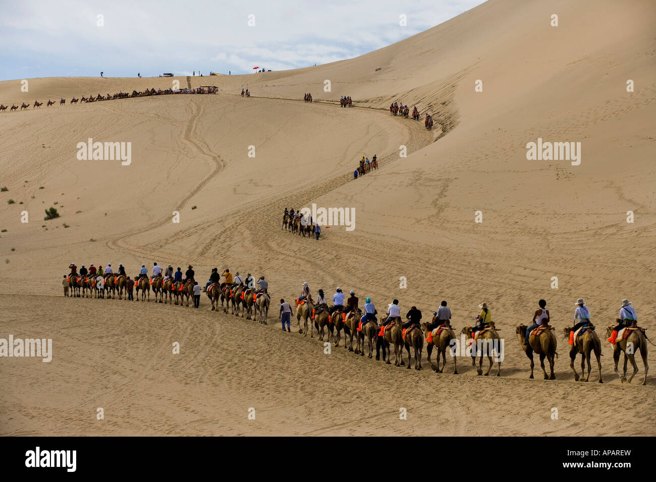 A Group of People Riding Camels in the Desert Stock Photo - Alamy