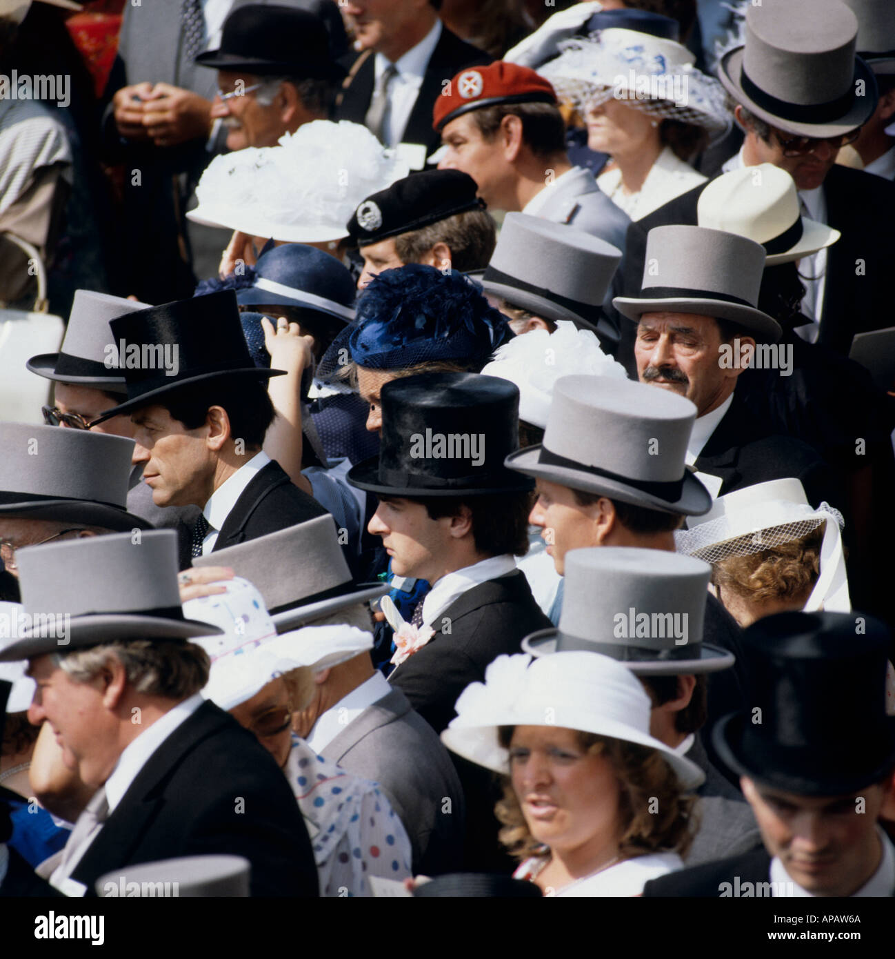 ladies top hats uk