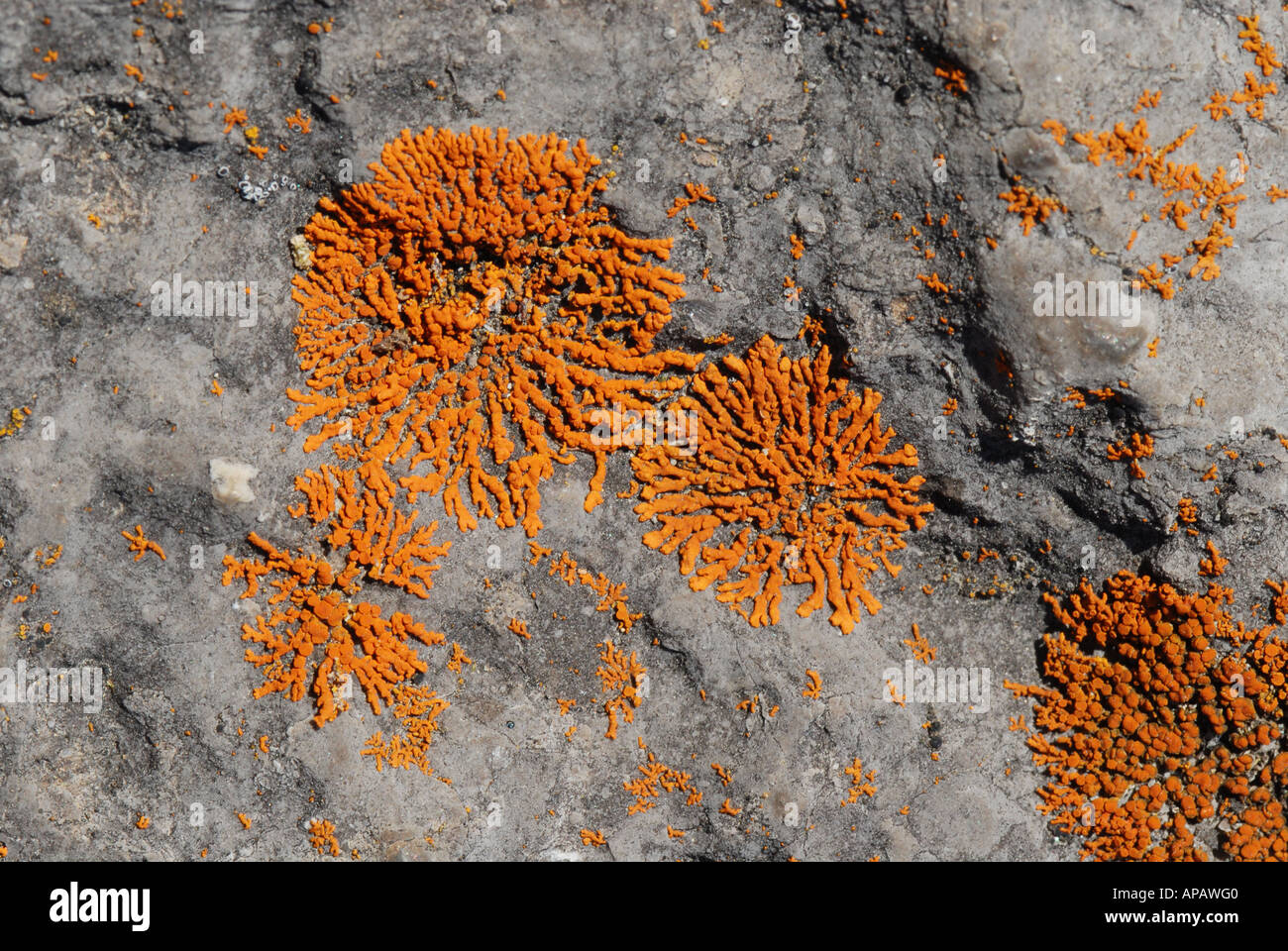 Stone landscape pattern hi-res stock photography and images - Alamy