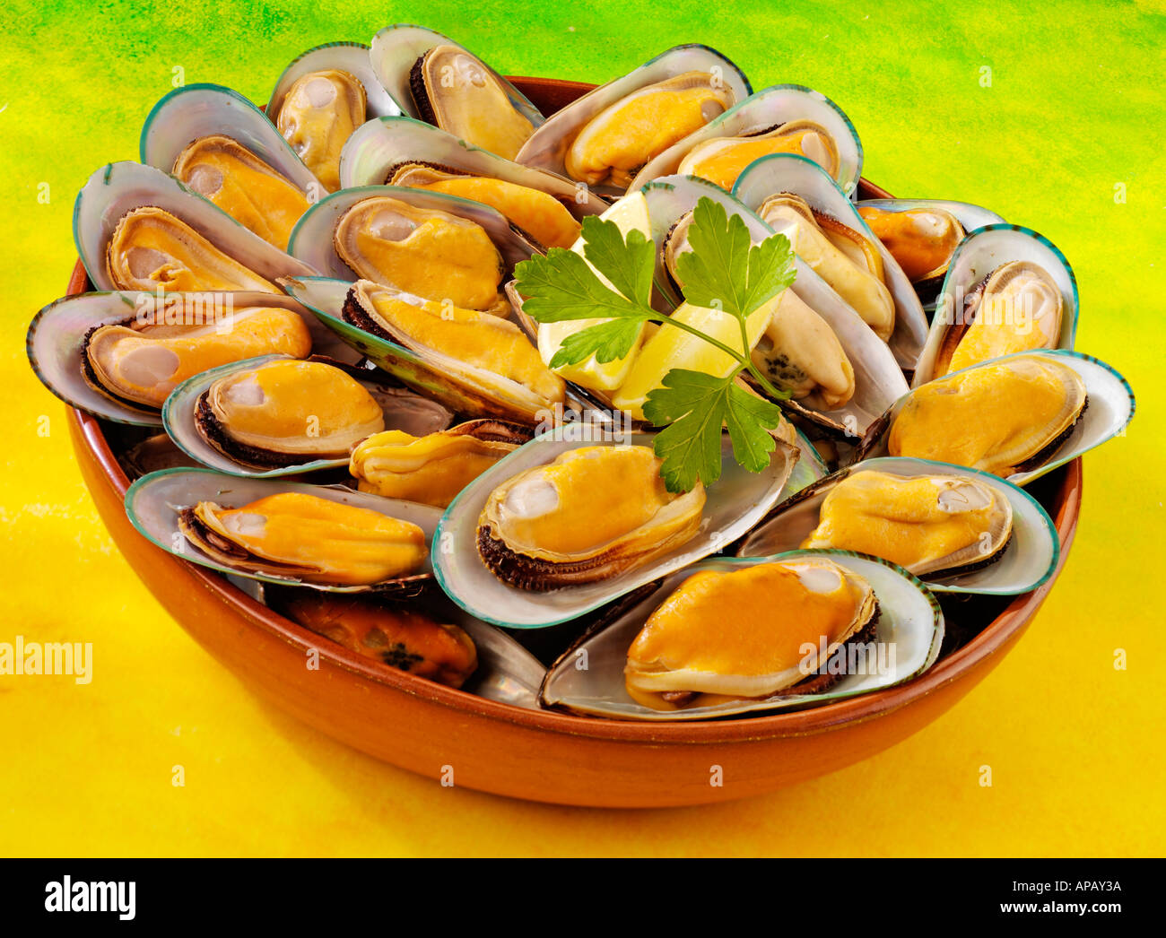 NEW ZEALAND GREEN MUSSELS Stock Photo Alamy