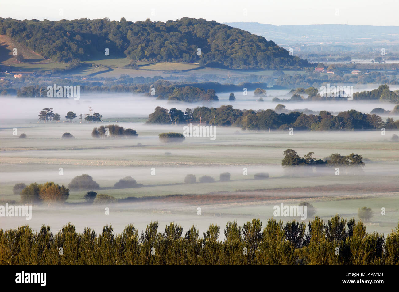 Butleigh Moor from Walton Hill, Somerset Levels, Somerset, England, UK Stock Photo