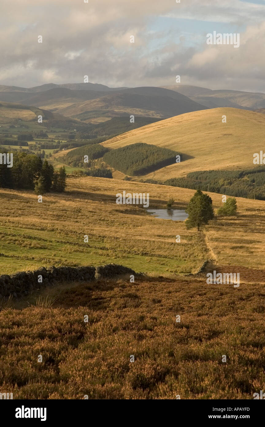 Glen Isla Angus Glens Scotland United Kingdom UK Stock Photo Alamy
