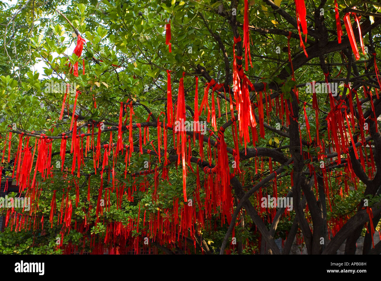 Daming Lake Park Shandong Stock Photo