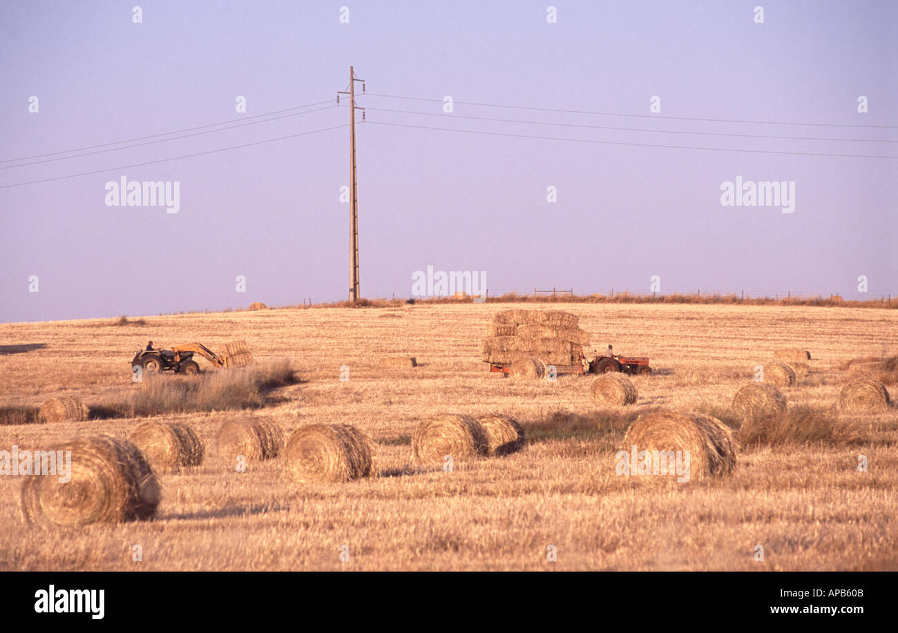 Bale Straw Near Me – A Sustainable Energy Solution