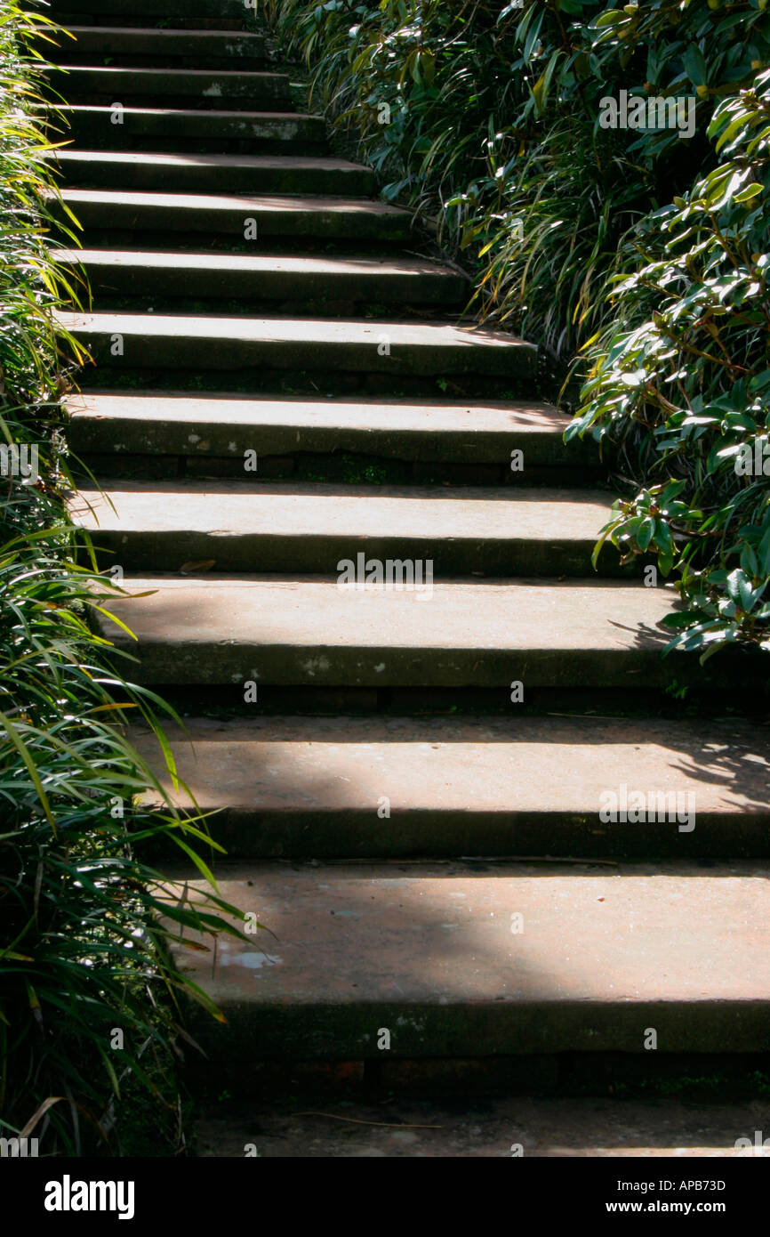 Garden steps Stock Photo