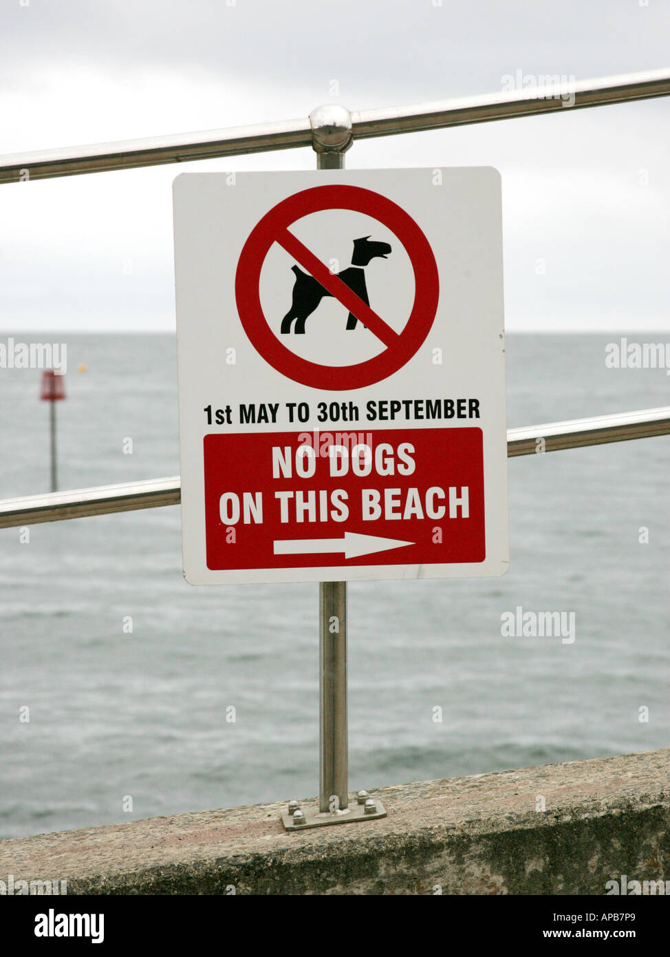 Dogs are not allowed on the beach sign Stock Photo Alamy
