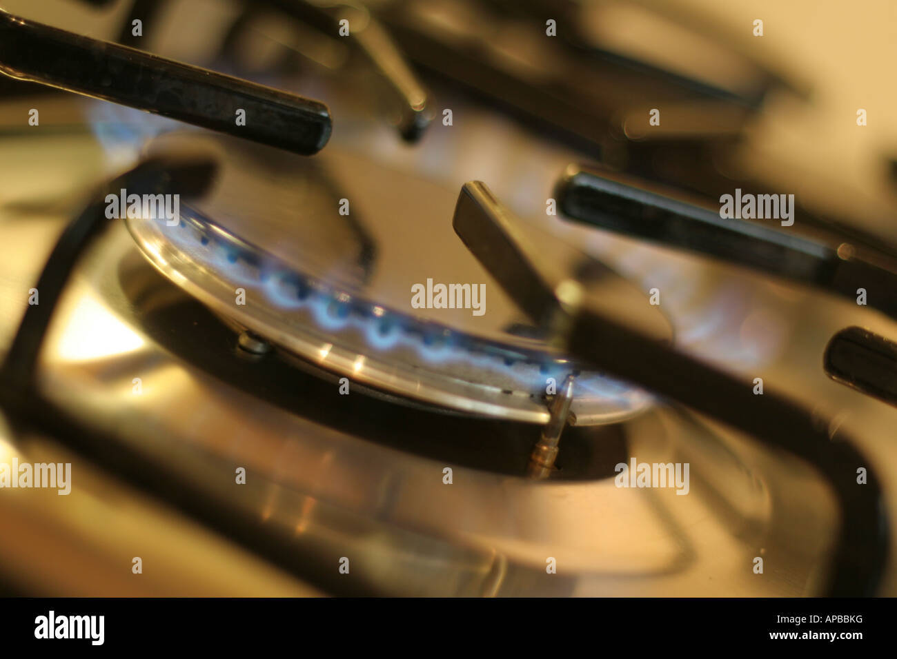 Gas Hob showing blue gas flame Stock Photo Alamy