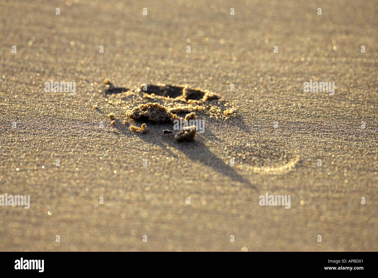 childs single footprint in the sand white rocks beach portrush county