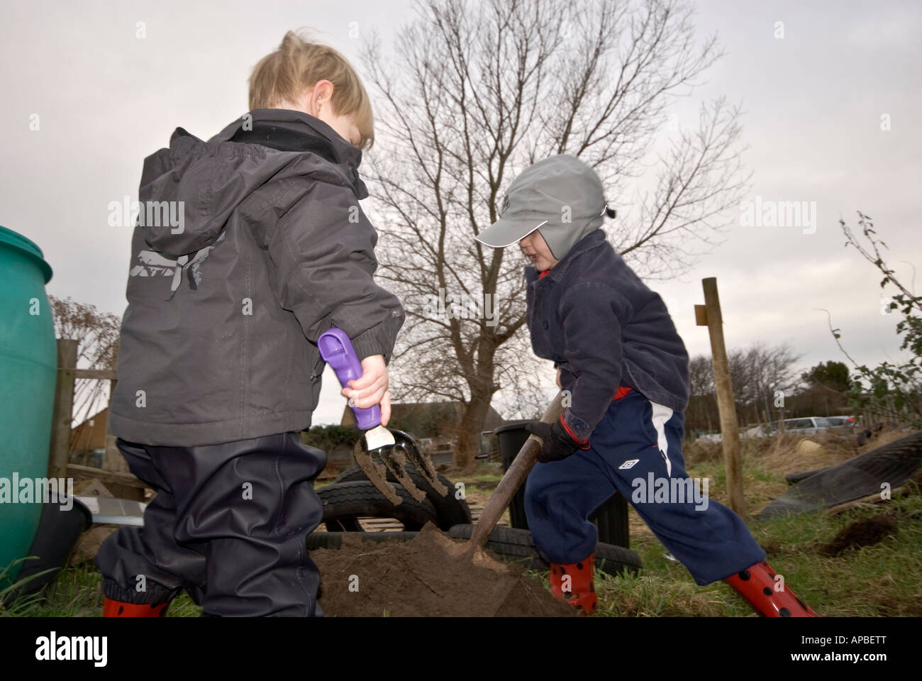 Two boy children digging allotment Stock Photo