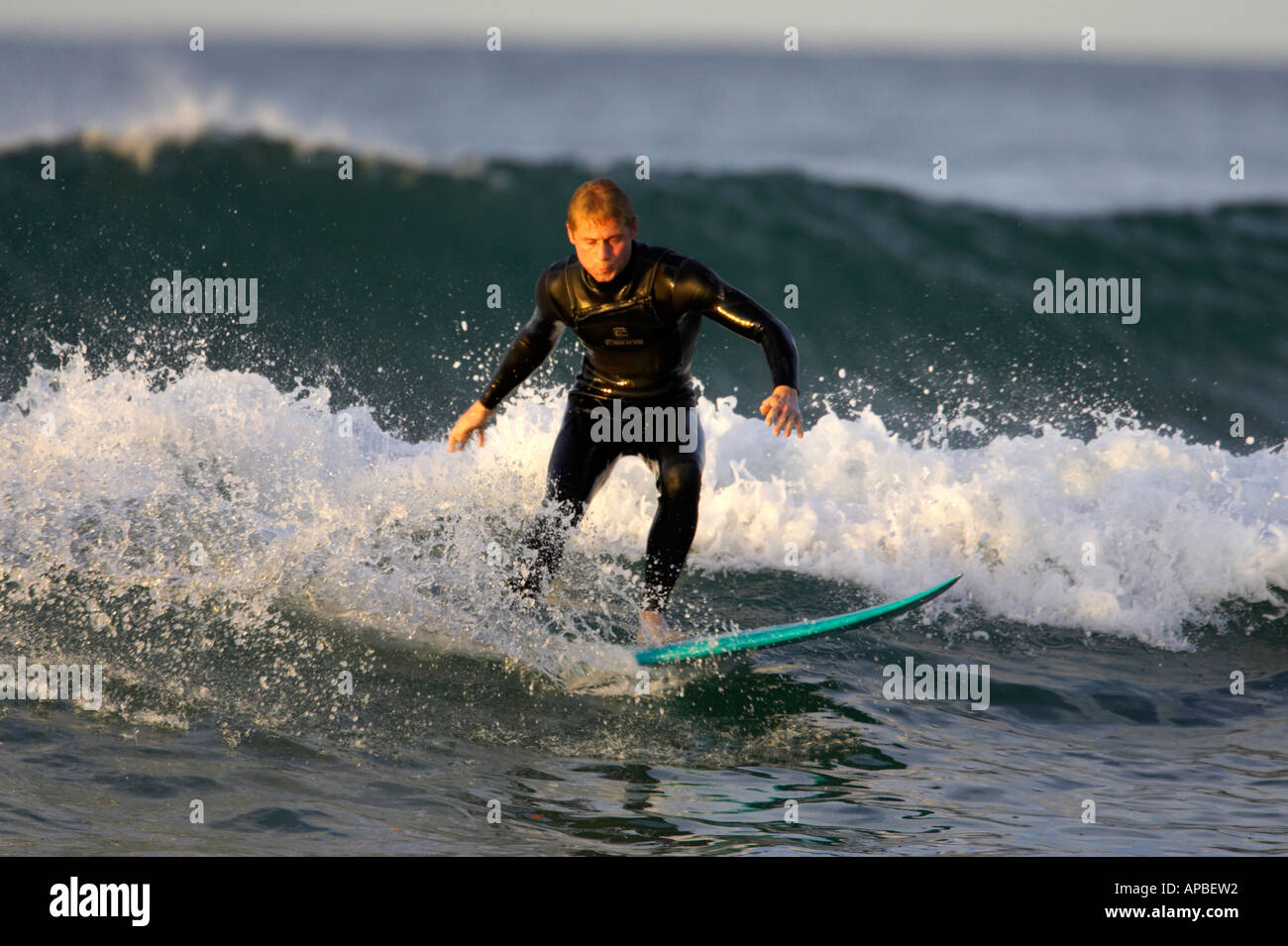 male surfer in wetsuit surfs on waves off white rocks beach portrush county antrim northern ireland Stock Photo
