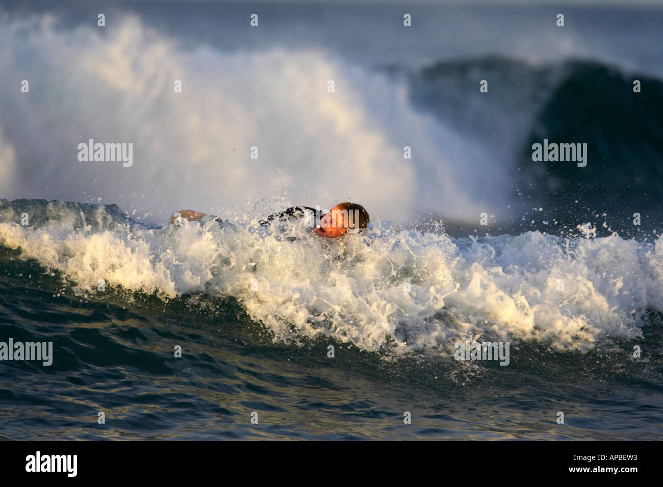 male surfer in wetsuit lying in wave having fallen off surfboard off white rocks beach portrush