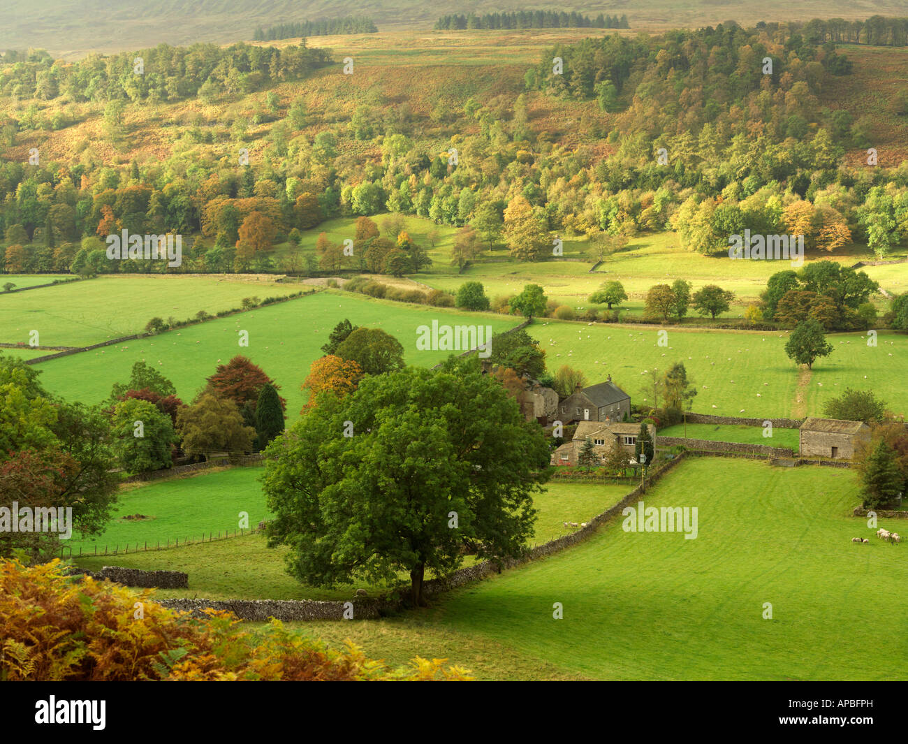 United Kingdom Yorkshire Yorkshire Dales National Park rural scenic of farm in a country setting early autumn Stock Photo