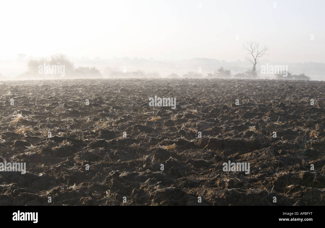 Mist ploughed field hi-res stock photography and images - Alamy