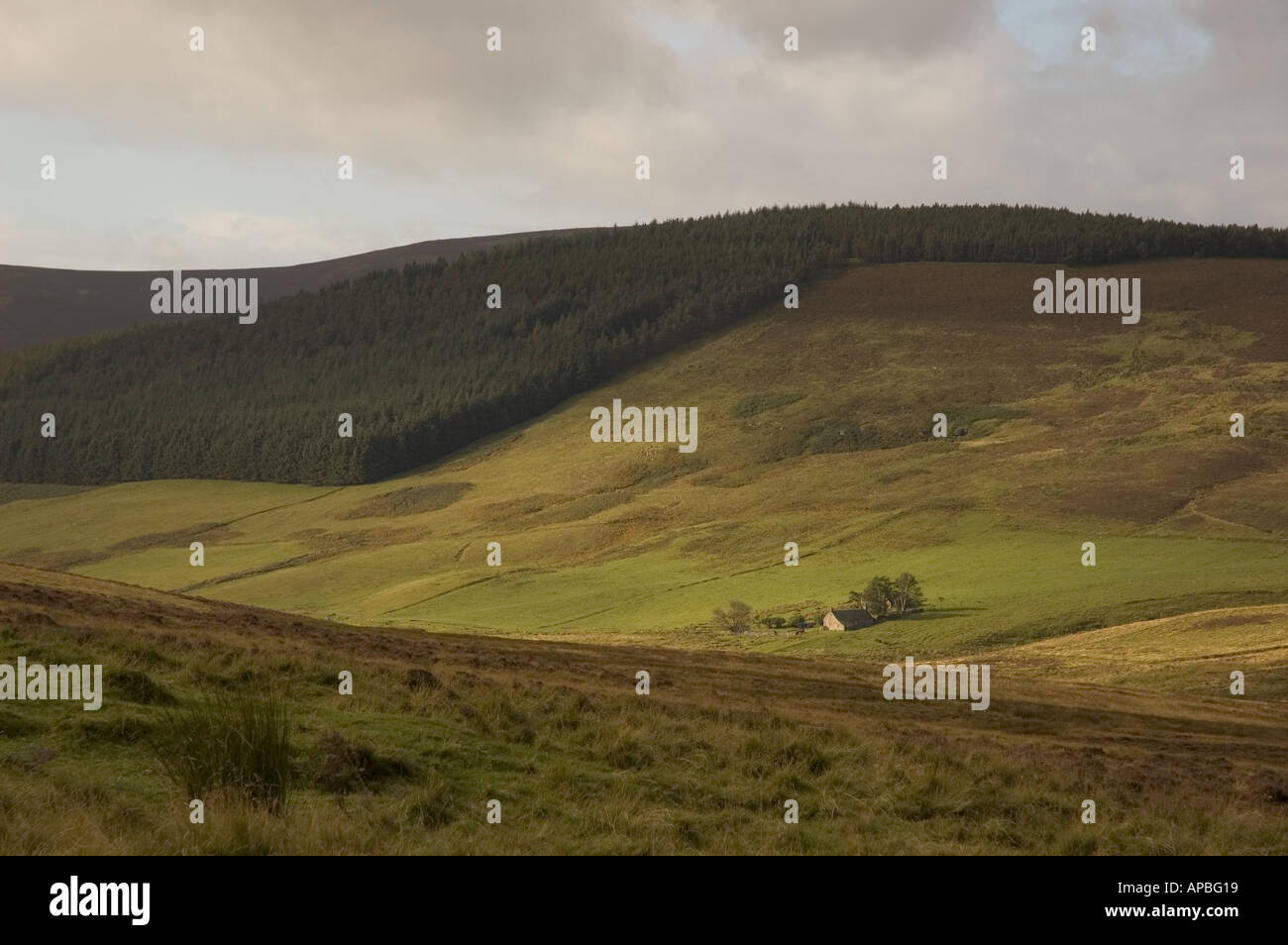 Angus glens hires stock photography and images Alamy