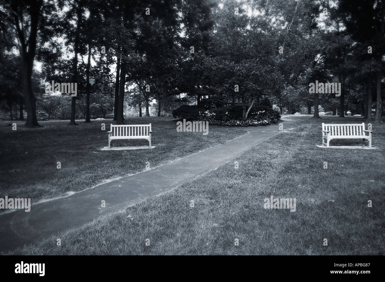 Dreamy black and white horizontal image of two park benches in a grassy wooded park with a paved path going diagonally between Stock Photo