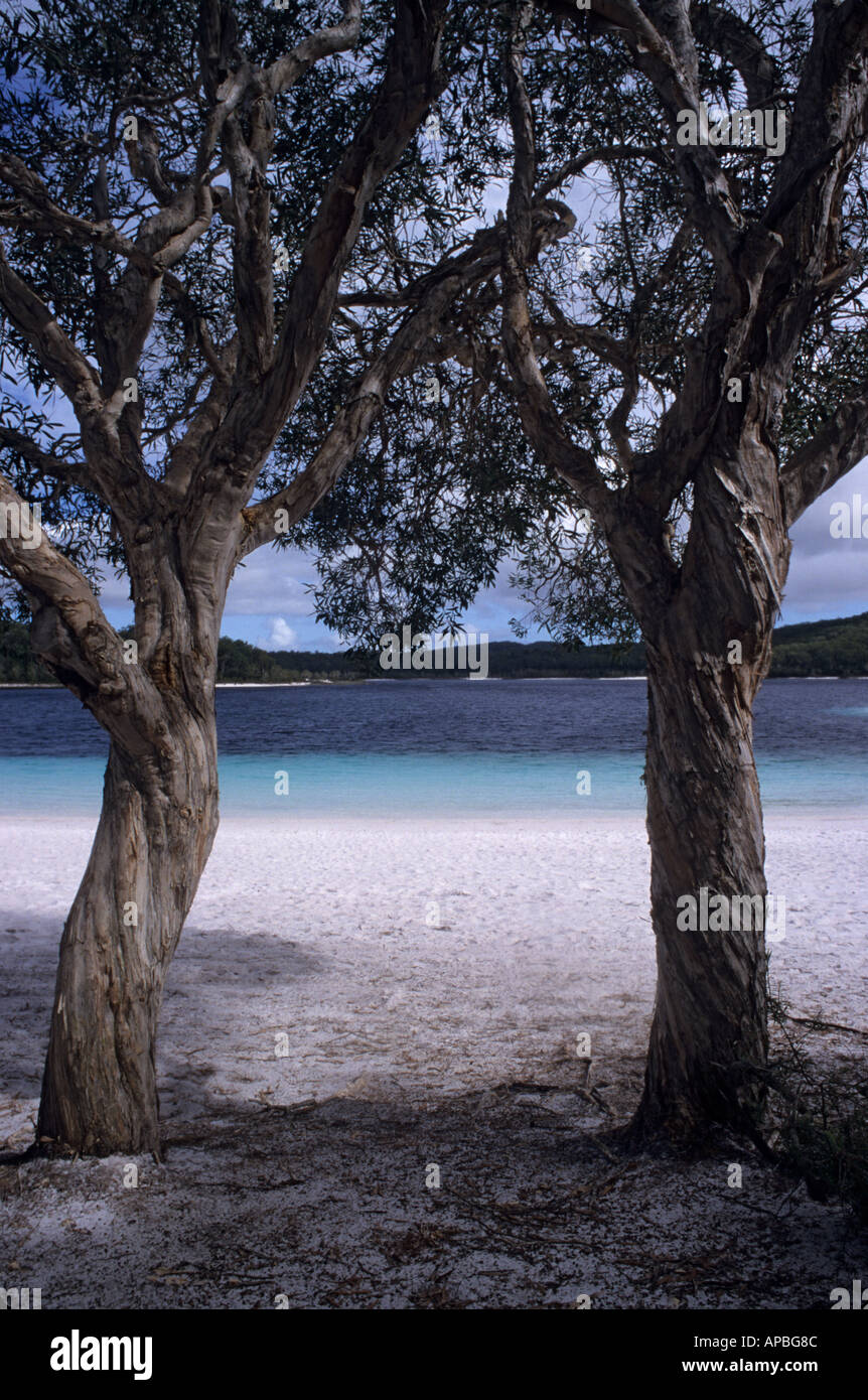 Lake McKenzie Fraser Island Queensland Australia Stock Photo Alamy