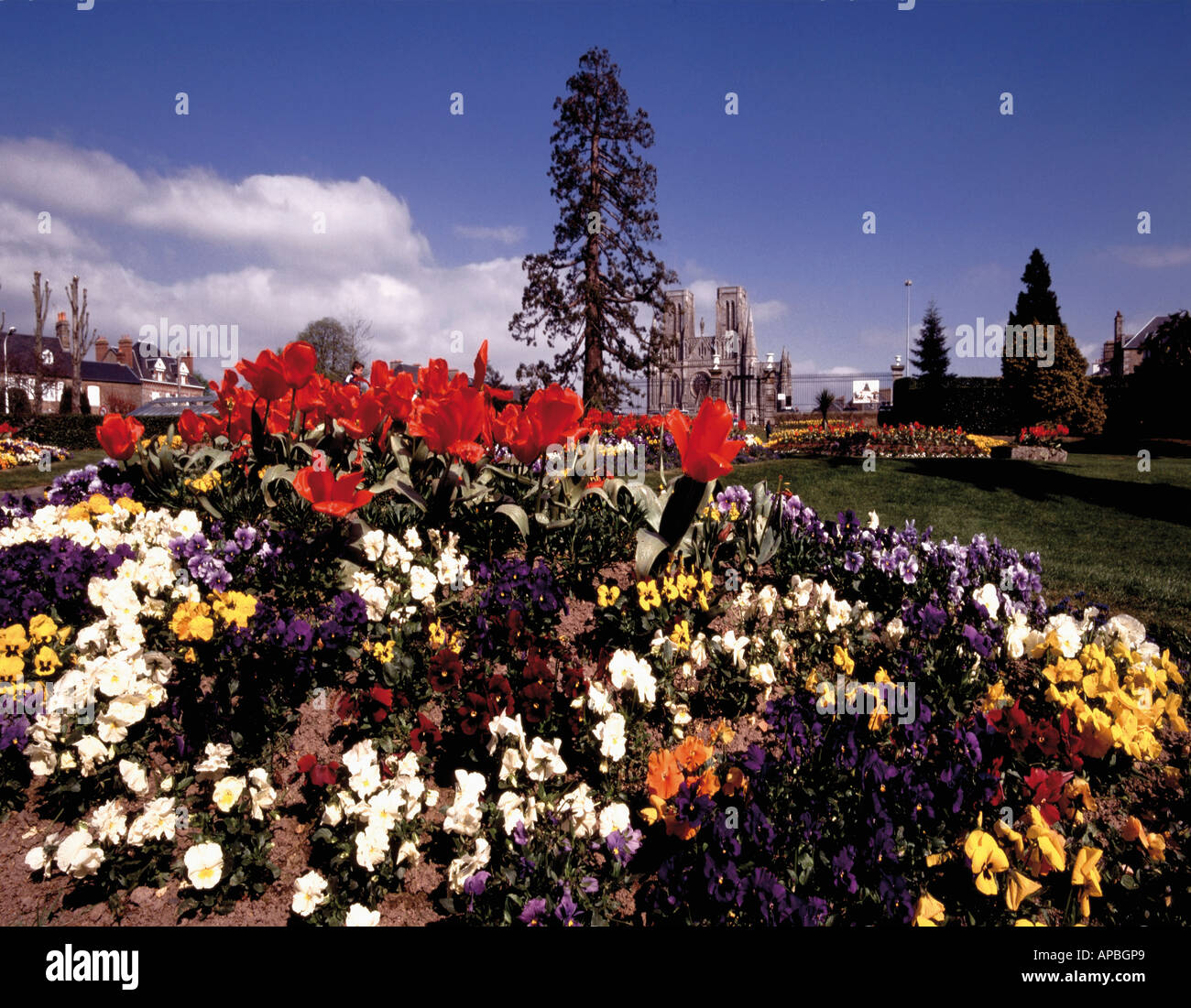 france normandy manche jardin des plantes avranches Stock Photo - Alamy