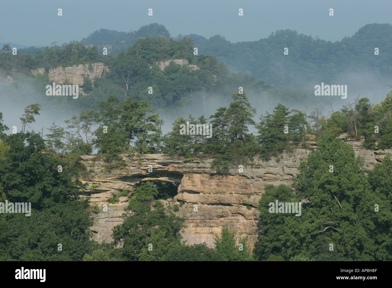 Red river kentucky double arch rock bridge rock cliff sandstone